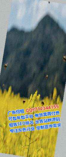 银川代怀网络科技经营部